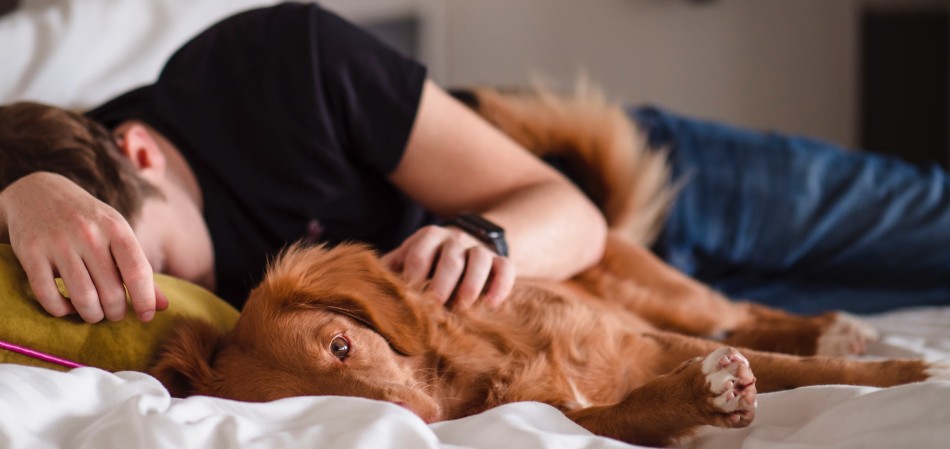 Man having a nap on the bed with his dog